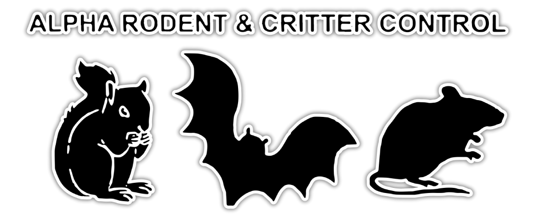 Alpha Rodent and Critter Control